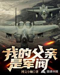 主角父亲是军阀的
