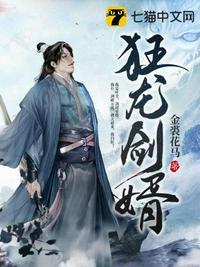 狂龙赘婿在线阅读全文704章