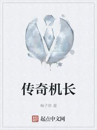 传奇机长翻译