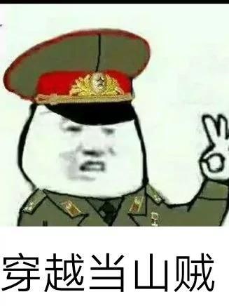 穿越当山贼建山寨的