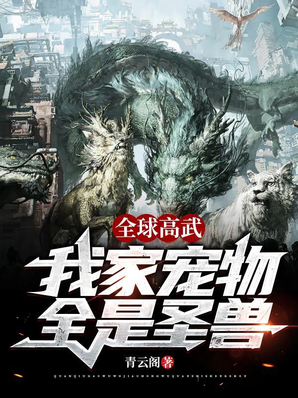 全球高武我家宠物全是圣兽境界
