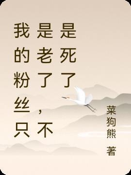 我的粉丝是什么意思啊