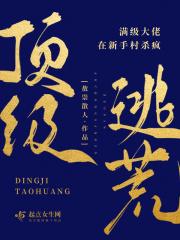 满级大佬穿越到新手村