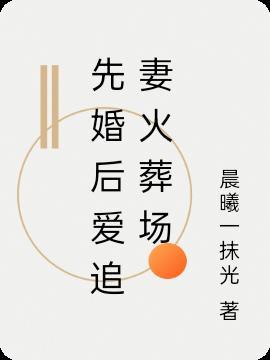 先婚后爱追妻文