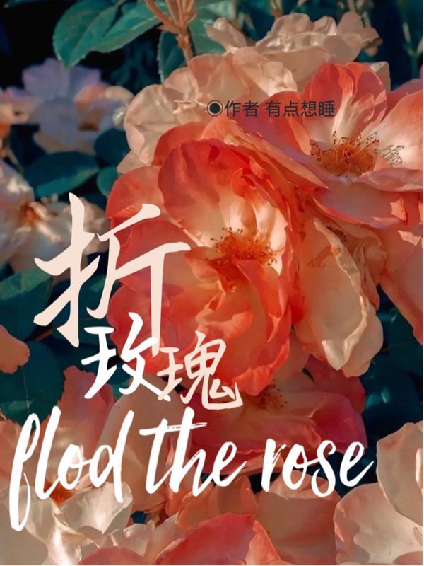 用纸巾折玫瑰花