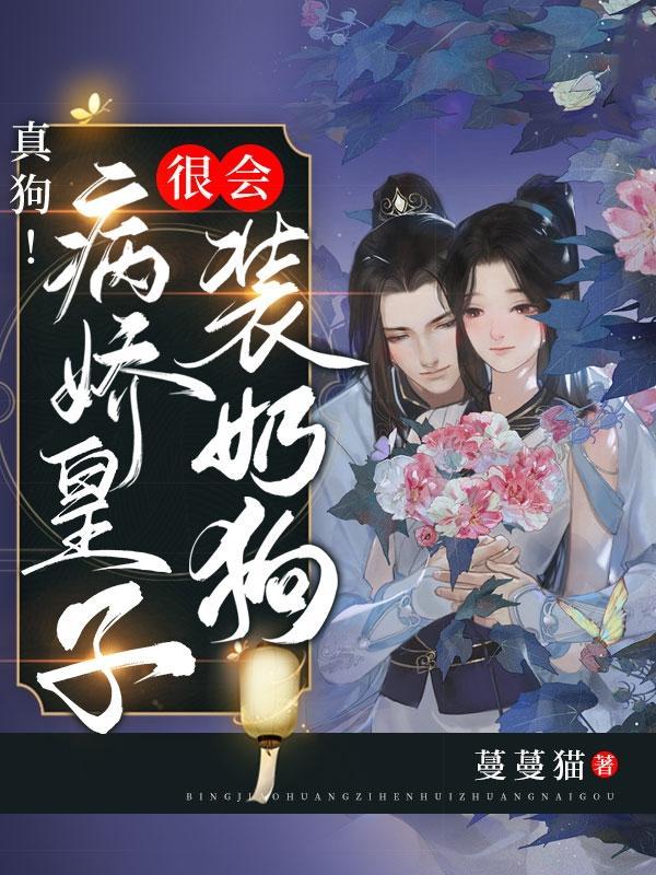 病娇皇子的