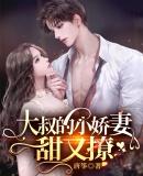 大叔小妻甜甜哒