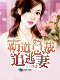 霸道总裁追逃妻免费阅读