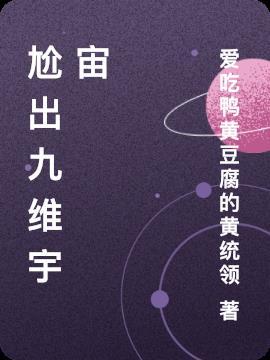 九维rap