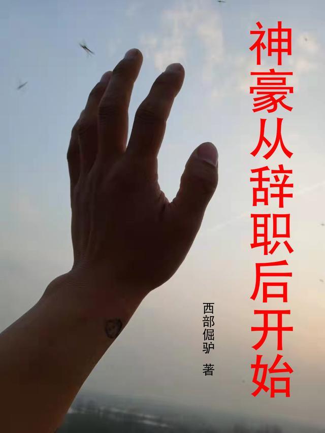 神豪从辞职开始享受人生动漫