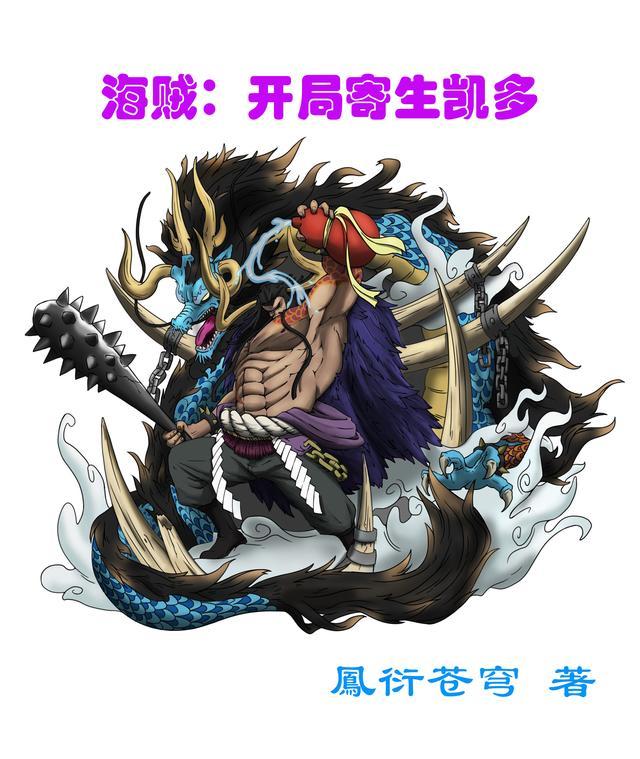 海贼之开局加入凯多
