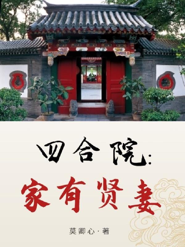 四合院家有贤妻TXT