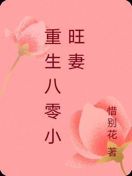 重生八零小妻子