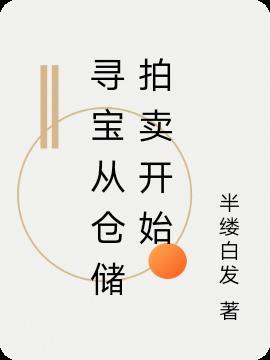 寻宝从仓储拍卖开始半缕白发