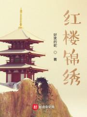 红楼锦绣王夫人