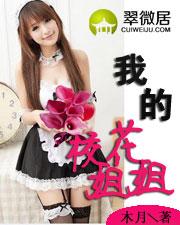 我的姐姐是校花笔趣阁