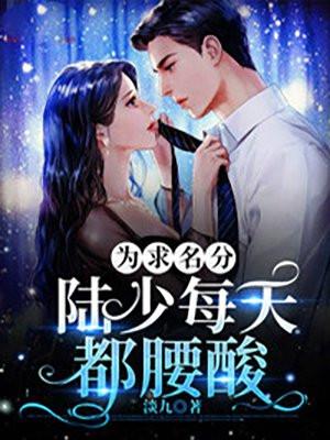 为求名分陆少每天都腰酸免费阅读