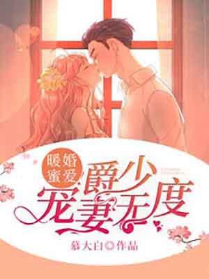 暖婚缠绵之爵爷的婚途