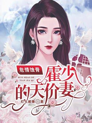 霍少的天价罪妻
