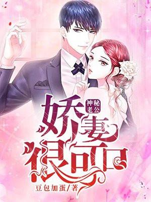 神秘老公宠妻入骨全文免费阅读