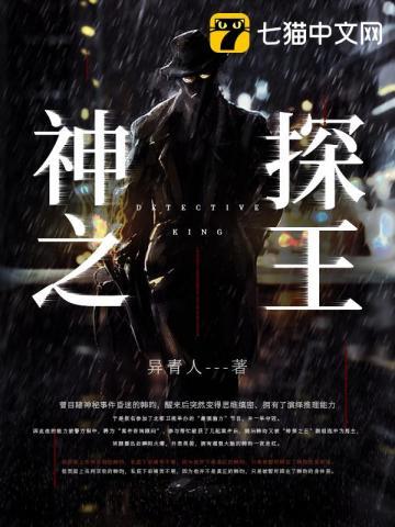 神探之王柳辉
