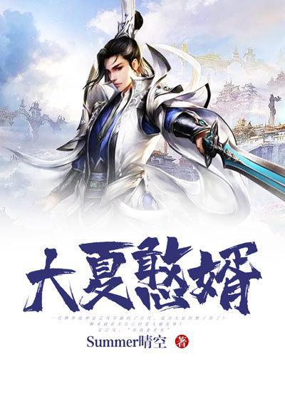 大夏第一婿