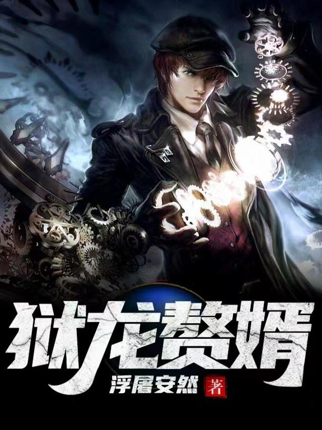 赘婿如龙叶昊