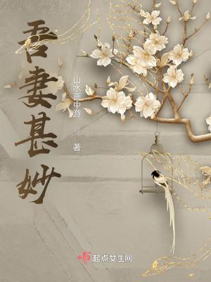 吾妻甚妙txt