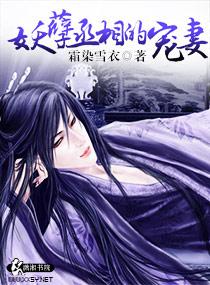 妖孽丞相的宠妻全文免费