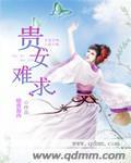 贵女难求TXT书包网