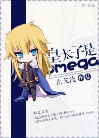 帝国夫夫指南/皇太子是omega作者止戈流