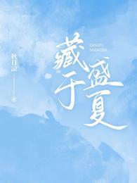 藏于盛夏作者是谁