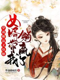 穿成极品丈母娘女婿带我躺赢了