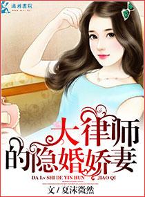 大律师的隐婚娇妻作者夏沫微然