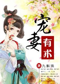 宠妻有术 九斛珠讲的是什么