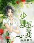 少帅大人别想