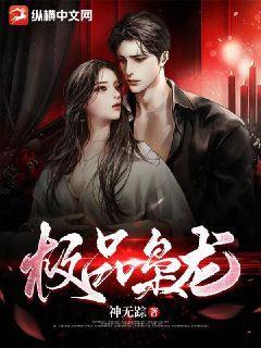 极品枭龙寒千落