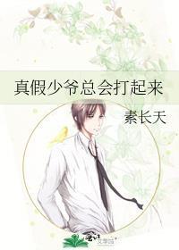 真假少爷总会打起来免费阅读