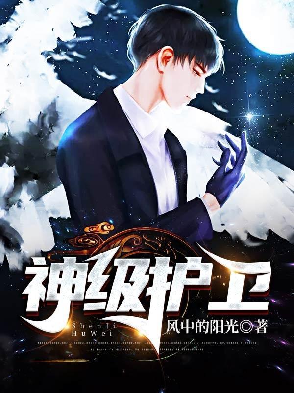 神级护卫电视剧