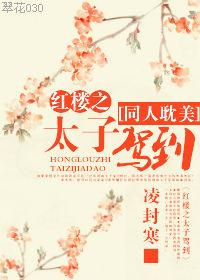 红楼之太子宠妻