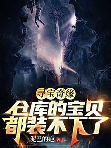 寻宝奇缘仓库的宝贝都装不下了短剧免费观看