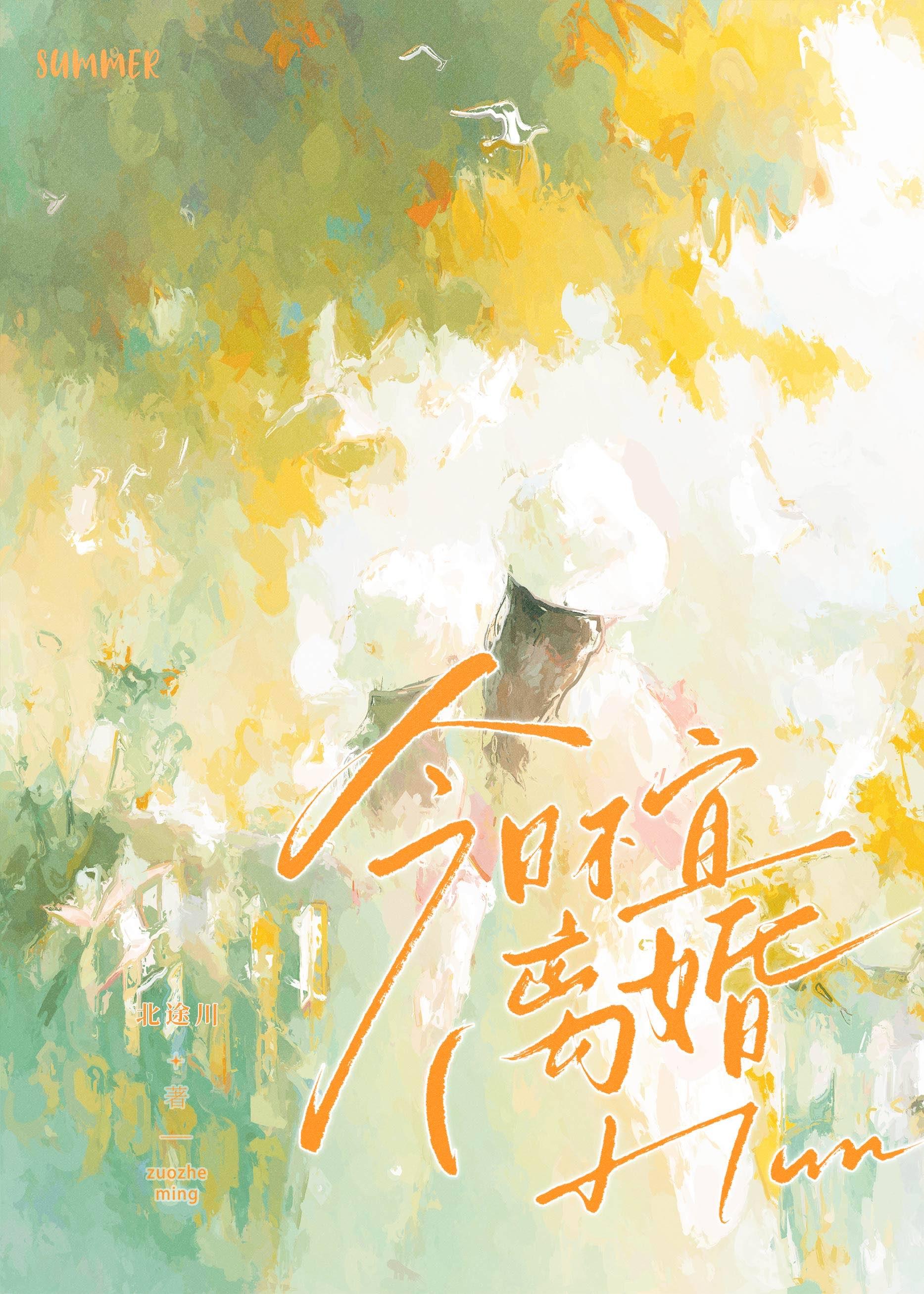 今日不宜离婚TXT免费