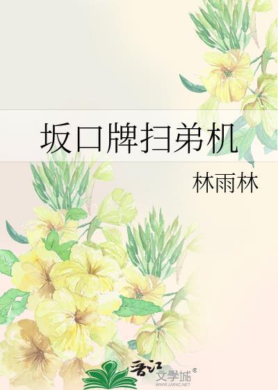 坂口牌扫弟机by林雨林