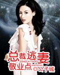 总裁的3嫁逃妻云裳