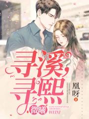 寻屿是什么电视剧的歌