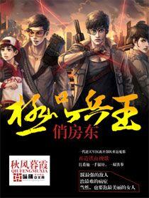 极品兵王免费