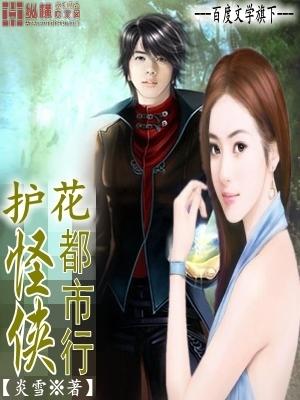 护花高手都市行