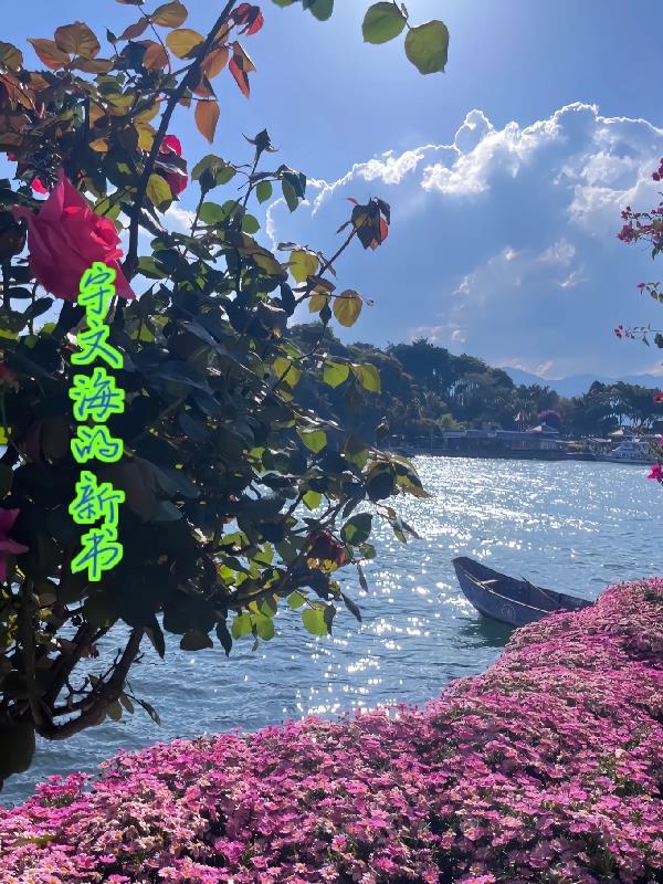 宇文海宁个人信息