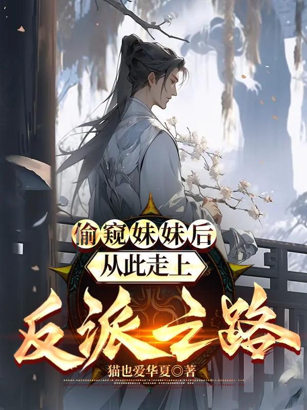 偷窥的猫表情包