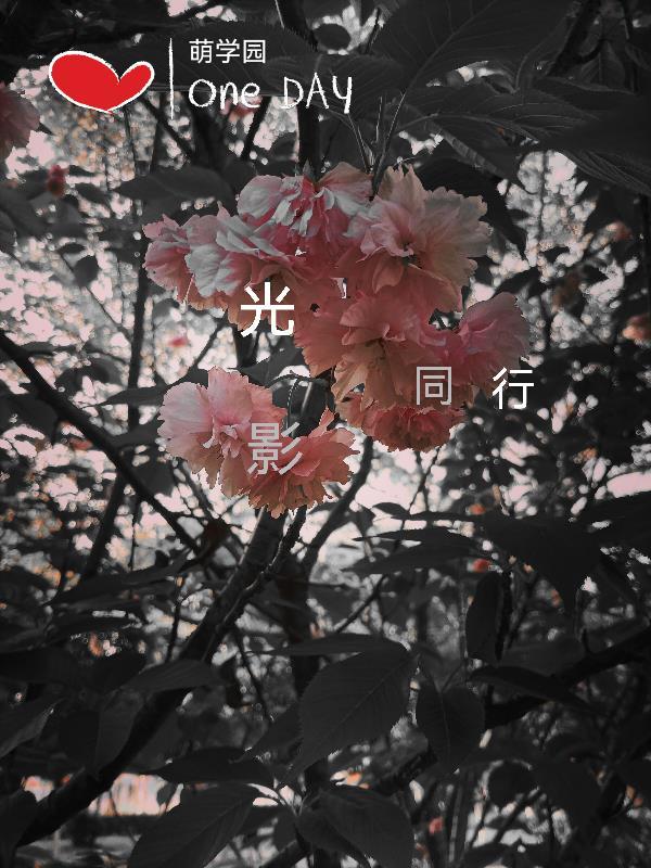 萌学园之光之影流